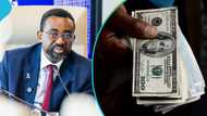 Bank of Ghana governor Johnson Asiama gives advice to dollar hoarders as cedi depreciates marginally