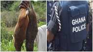Police accused of 'robbing' farmers of their bush meat