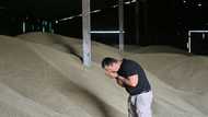 'No way out': Ukraine farmers lament collapse of grain deal