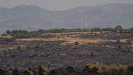 Neglected forests at the mercy of wildfires in Spain, Portugal