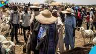 Tensions rise in Ketu North communities as herdsmen face eviction