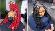 What butterfly loc hairstyles should you choose? 20 cool designs you will love