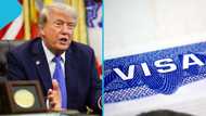 US State Department revokes over 175,000 visas since Trump's return to office