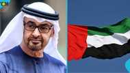 UAE immigration update: 2 reasons foreigners can be deported even with a valid visa