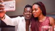 We are tired of you - Angry Shatta Wale fans tell Michy following her latest comments about him