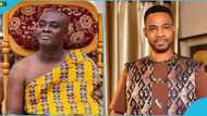 Ghanaian lady scolds naysayers of Dormaahene, alleges Kofi Adoma was paid to cover the Kwafie festival