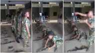 Real King of Boys: Female soldier beats male colleagues in gun combat