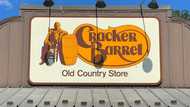 Trump joins backlash against US restaurant Cracker Barrel