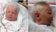 Meet toddler who was born with grey hair and he is adorable (photos)