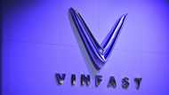 Vinfast plans first EV factory in India