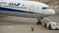ANA, JAL see profits soar on travel recovery