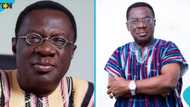 Court dismisses stay of proceedings in $2m Accra Skytrain case against Prof Ameyaw-Akumfi