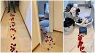 Woman sparks debate after using rose petals to get her husband to do the laundry