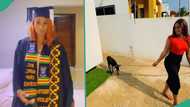 Lady gets small goat as gift for graduating from school, shows it: "I was expecting something huge"