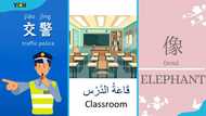 Top 10 hardest languages in the world to learn and master