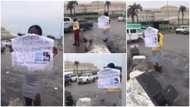 Video goes viral as lady storms town with placard of boyfriend's name and photos to beg for forgiveness