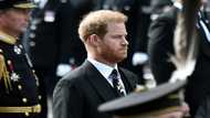 Prince Harry launches legal action against UK media group