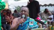 Akufo-Addo has eliminated hunger from Ghana - Agric Minister boasts