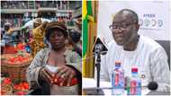 It’s painful to report on Ghana’s struggling economy – Ofori-Atta