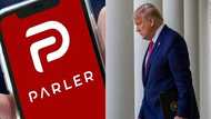Parler: App used by Pro-Trump supporters removed by Amazon, Apple and Google