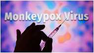 Symptoms, treatment how to avoid contracting Monkeypox disease
