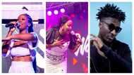 Nana Ama McBrown and Amerado join Gyakie to refix 'Forever' on UTV's United Showbiz