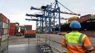 African economies see reasons for optimism despite crises