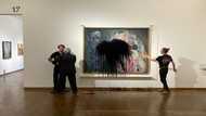 Protesters pour black liquid on Klimt masterpiece in Vienna