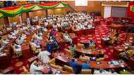 See the NPP MP with the highest approval rating, NDC MP noted with worst rating in Global InfoAnalytics survey