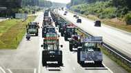 Dutch farmers protest livestock cuts to curb nitrogen
