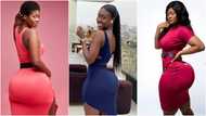 Hajia Bintu fights back to reclaim title with wild beachside photos as she nearly got 'dethroned' by pretty lady with massive curves