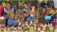 Hardworking mom with baby strapped to her back sells coconut, adorable video melts hearts: “Wow”