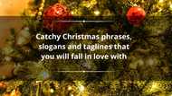 130+ catchy Christmas phrases, slogans and taglines that you will fall in love with