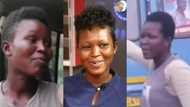 Mabel Alukbadek: Lady trotro mate lands IT job at Fidelity Bank; shares grass to grace story in video