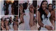 Money talks: Pretty bride storms wedding with bridal train raining cash on her; video gets many talking