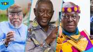 "Ghana facing imminent danger": Nyaho-Tamakloe appeals to Kufuor, Otumfuo to speak up