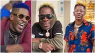 Shatta Wale: Dancehall Star To Feature On Upcoming DMX Movie Doggmen; Makes Confirmation In Video