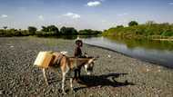Alarm mounts over escalating Ethiopia-Sudan border tensions