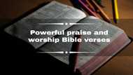 Powerful praise and worship Bible verses (with pictures)