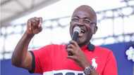 Use your brain to tell #FixTheCountry people that NPP has fixed it - Ken Agyapong to NPP members