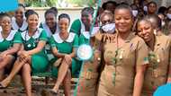 Salaries of nurses and midwives in Ghana in 2026: Full list of ranks and monthly earnings