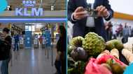 Netherlands shares list of food Items Ghanaians are not allowed to enter country with