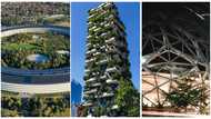 Buildings around the world that blend with their natural surroundings