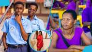 2026 WASSCE results are out: Nana Aba Anamoah begs parents not to beat their children who failed their exams