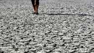 Water-stressed Iraq dries up fish farms