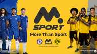 MSport 2025: Ghana's #1 Sports Betting Site Powers Up for the New Season with Chelsea & BVB