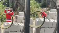 'Father Christmas' spotted carrying blocks to save for festivities; falls heavily in video