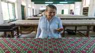 French-Indian textile designer brings back Mughal patterns