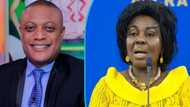 Maurice Ampaw seriously attacks Cecilia Dapaah's critics over her stolen $1m, €300,000: "Hypocrites"