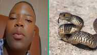 Man scares woman with snake found at home, Mzansi in stitches